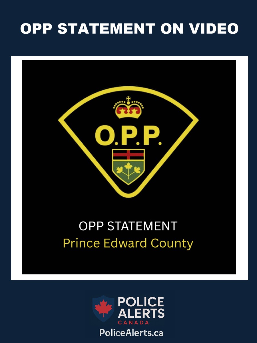 OPP statement on officer response in Ontario restaurant video